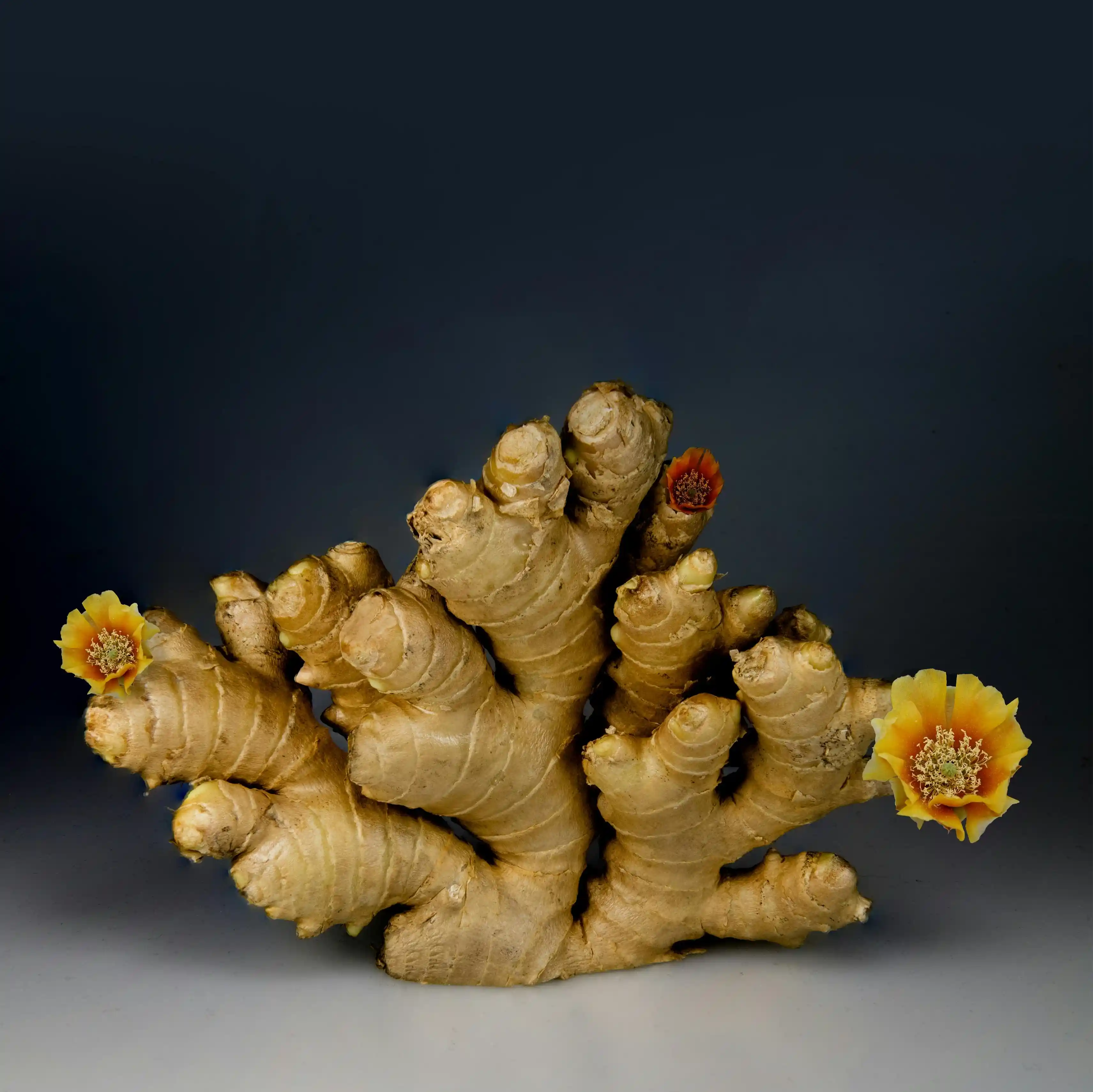Ginger with Purpose